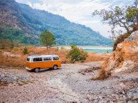 临江仙·梅 李清照